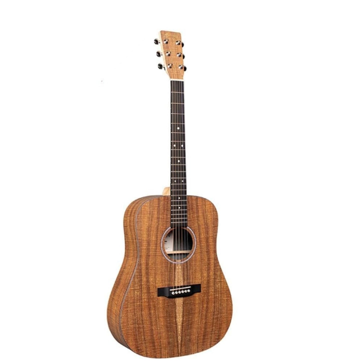 Martin DX1E Dreadnought Semi Acoustic Guitar