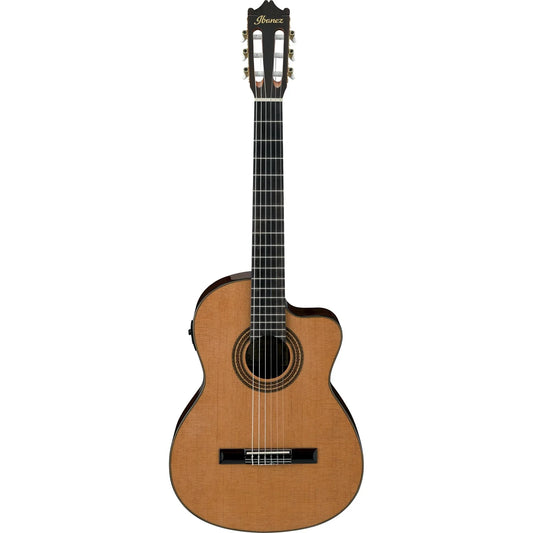 Buy Ibanez GA6CE Classical Series Electro Acoustic Nylon String Guitar